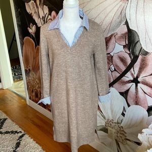 Knit Dress with Shirt Styling Accents at Collar and Sleeve